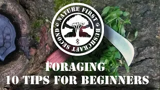 Foraging Edibles & Herbs - 10 Tips For Beginners