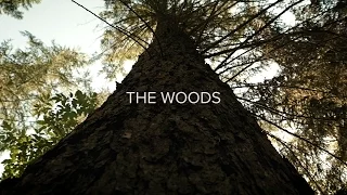 The Woods / GH4