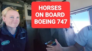 Horses 🐎 flying onboard  BOEING 747-400 cargo. taking good care of by Jesse from England 🇬🇧 👌