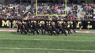 WMU Dance Team 2019 Homecoming Performance with Buster