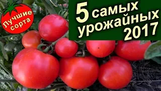 Самые Урожайные Семена Томатов 2017 (лучшие сорта томатов).