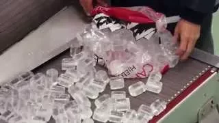 Ice Gourmet