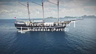 Air and Sea, Scuba Diving in Paradise, Misool, Raja Ampat - Part 2 of 2