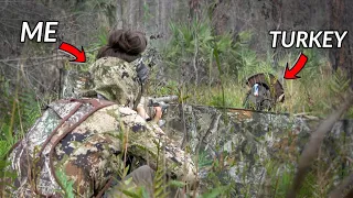 * OPENING DAY SUCCESS  * Florida Turkey Hunting on Public Land