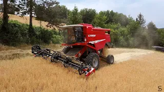 Barley Harvest in Italy Laverda Al Quattro EVO e Cressoni CRX 6m [trebbiatura orzo in collina]