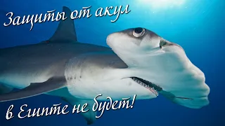 🇪🇬 Египет 2022: Нападение 🦈 акулы в Сахл Хашиш! Защиты от 🦈 акул не будет!