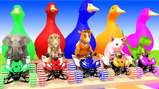 5 Giant Duck, Monkey, Piglet, chicken, lion, dog, cat, cow, Sheep, Transfiguration funny animal 2024