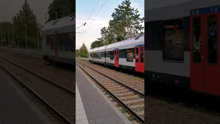 Ein SBB Stadler Flirt "Seehas" nach Konstanz kommt beim Haltepunkt Allensbach an | #shorts