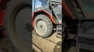 sázení brambor s zetor 4340 a sazeč unia kora 2 #tractor