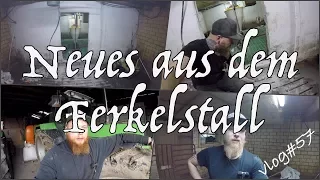 FarmVLOG#57 Neues aus dem Ferkelstall