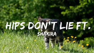 Play List ||  Shakira - Hips Don't Lie ft. Wyclef Jean  || Cumings Music