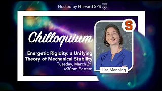 A Unifying Theory of Mechanical Stability – Prof. Lisa Manning | Harvard SPS Chilloquium