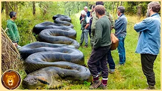 Diese 11 seltsamen Entdeckungen im Amazonas-Regenwald schockierten die Welt