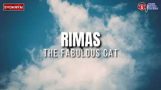 Rimas - Fabulous Cat - Lirik Video