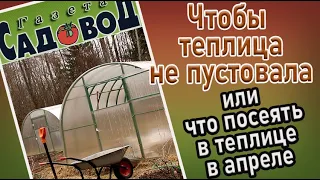 Чтобы теплица весной не пустовала, или что посеять в теплице в апреле