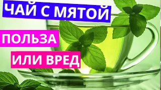 Чай с мятой польза и вред. Все полезные и вредные свойства мяты для здоровья