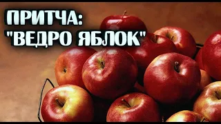 Ведро яблок/Притча, которую хочется цитировать