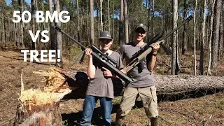 Shooting Down a Tree with 50BMG!!!