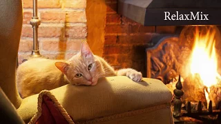 Purring of a cat by the fireplace. Asmr.