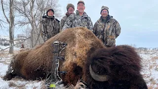 Cat and Mouse Archery Bison hunt