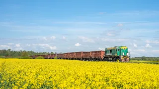 TEM2UM-510 coming from Pakruojis to Klovainiu Skalda quarry with empty wagons