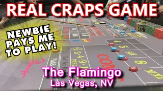 CRAPS ON THE STRIP! - Live Craps Game #47 - Flamingo, Las Vegas, NV - Inside the Casino - ASMR video