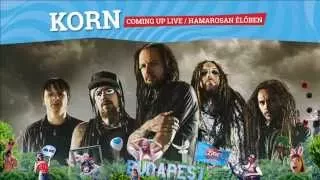 KoRn Sziget 2014