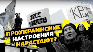 «Касательно Крыма нарастают проукраинские настроения» – руководитель соцгруппы «Рейтинг»