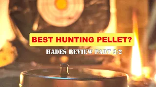 BEST .177 HUNTING PELLET ?  JSB HADES REVIEW PART 2/2