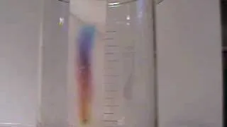 Paper Chromatography: Time Lapse Video