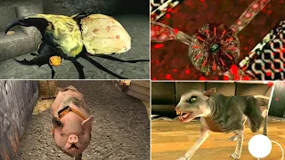 Horror Pets Battle #2 | The Twins - Giant Beetle - Grandpa Giant Octopus - Mr Meat Killer Pig