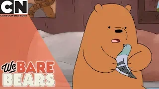 We Bare Bears | What's Better Than Pigeon Friends | Cartoon Network