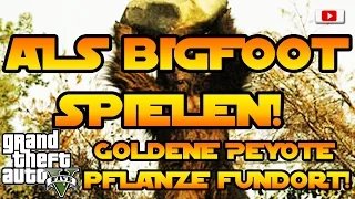 Grand Theft Auto 5 - Als BIGFOOT Spielen! [Goldene Peyote Pflanze Fundort, Next Gen Easter Egg]