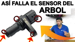 5+2 FALLAS sensor del ARBOL DE LEVAS / PRUEBAS FACIL /FUNCIONAMIENTO sensor CMP dañado 😨 ASÍ FALLA 🔥