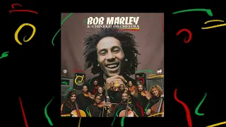 Satisfy My Soul – Bob Marley and The Chineke! Orchestra (Visualizer)