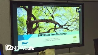 SRP is offering free shade tree classes online