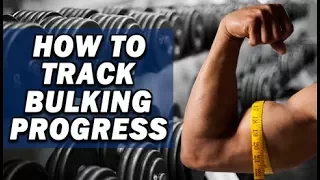 How To Track Progress During A Bulking Phase