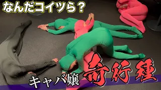 キャバ嬢奇行種！？キャバクラモジモジくん！