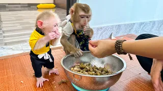 Hungry Kaka Monkey and Monkey Mit eat delicious boiled peanuts