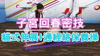 【挖健康】女性都該看的「子宮保養」回春密技！通經絡保養操+貓式伸展一次學會