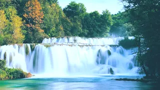 Relaxing Nature Sounds of Water Flowing over a tiny Waterfall for Calm Relaxation, Meditation 3 Hour