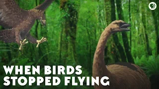 When Birds Stopped Flying