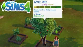 How To Find An Apple Tree (Location To Get Apples) - The Sims 4