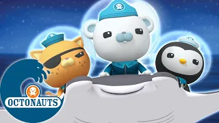 Octonauts - Spécial Nouvel An d'une heure ! | Dessins animés pour enfants