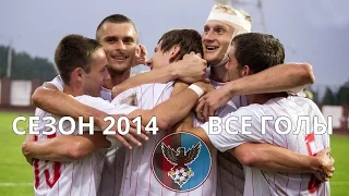 Славия-Мозырь. Все голы 2014