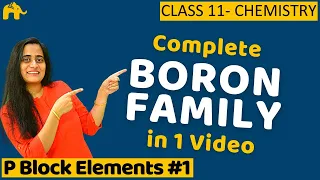 P block elements class 11 - Boron Family | One Shot Hindi | JEE CBSE NCERT NEET