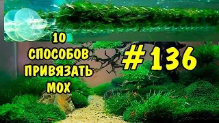 #136 10 СПОСОБОВ ПРИВЯЗАТЬ МОХ. 10 WAYS TO TIE THE MOSS