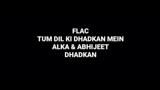 Tum Dil Ki Dhadkan Mein: Alka & Abhijeet: Dhadkan: Hq Audio 90s Hindi Flac Song