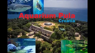 Spectacular PULA Aquarium,inside a fortress! Istria 🇭🇷 Croatia #225