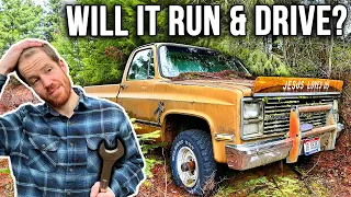 ABANDONED 1983 Chevy K10 (sitting 20+ years)